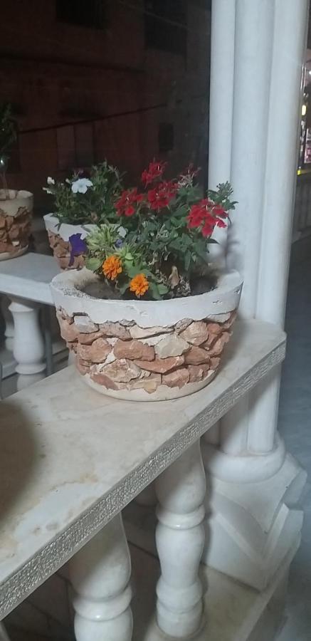 Zohara Βίλα Nahf Εξωτερικό φωτογραφία